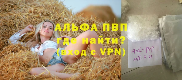 spice Алзамай
