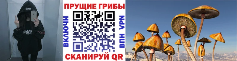 Псилоцибиновые грибы GOLDEN TEACHER  Кизилюрт 