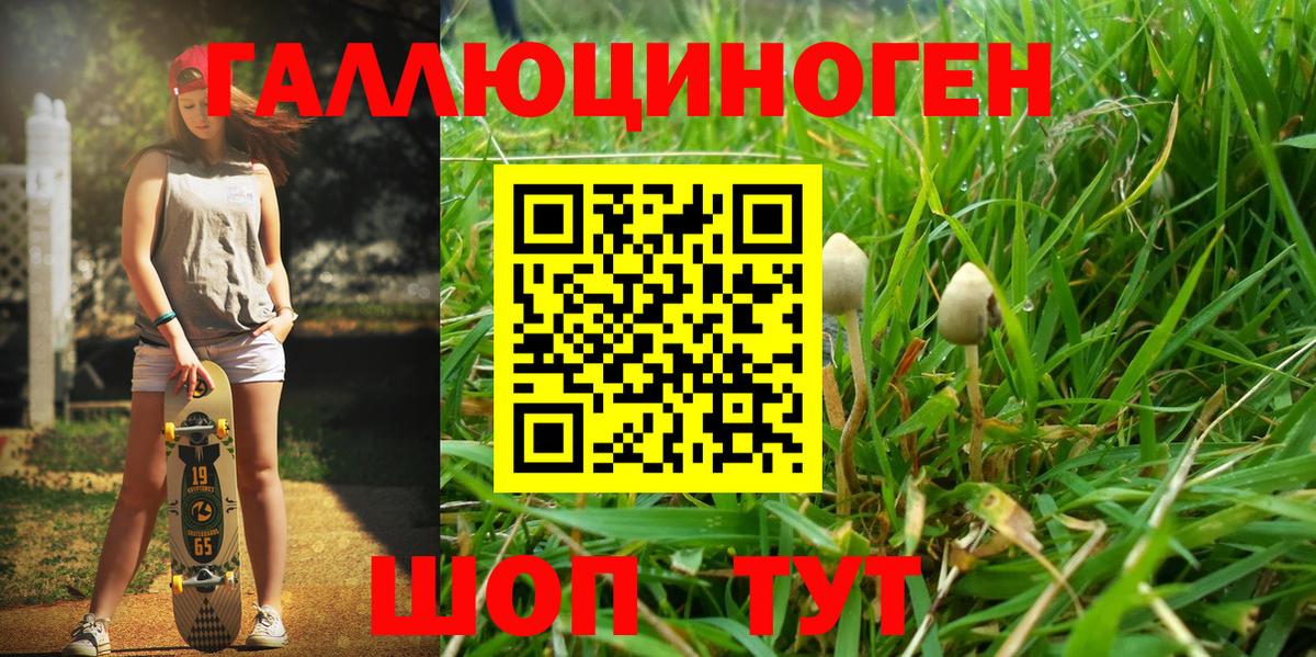 Псилоцибиновые грибы мухоморы Кизилюрт