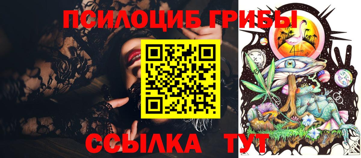 Галлюциногенные грибы мухоморы  Псилоцибиновые грибы Psilocybe  продажа наркотиков  Кизилюрт  Вход с VPN 
