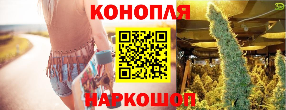 МАРИХУАНА ГИДРОПОН Кизилюрт